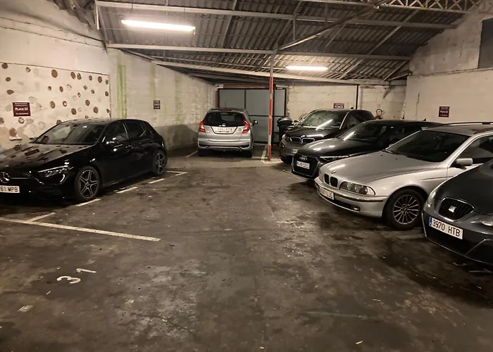 Hôtel accueillant les animaux: Bordeaux Cosy B&B