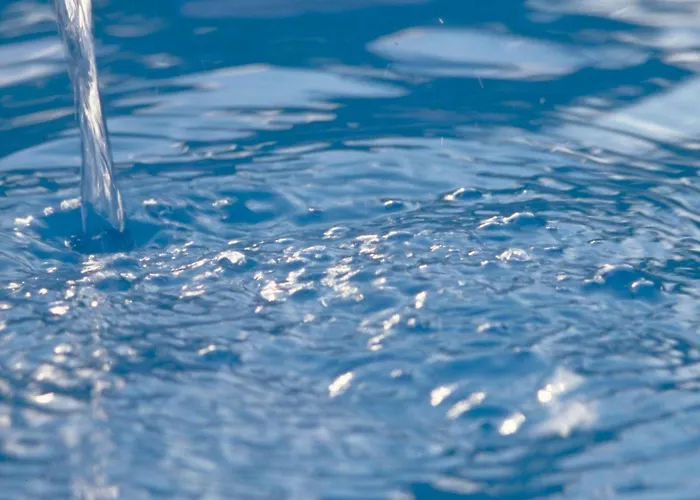 Hôtel accueillant les animaux: Novotel Bordeaux Lac